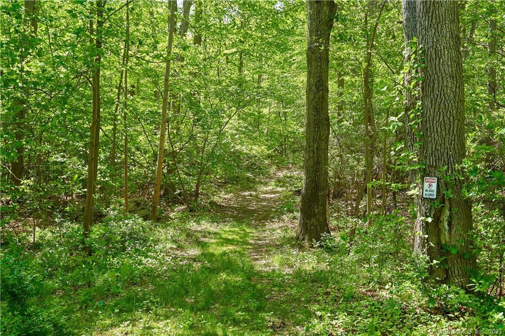 12 Bowhay Hill Road Branford CT 06405