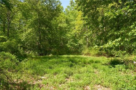 12 Bowhay Hill Road Branford CT 06405