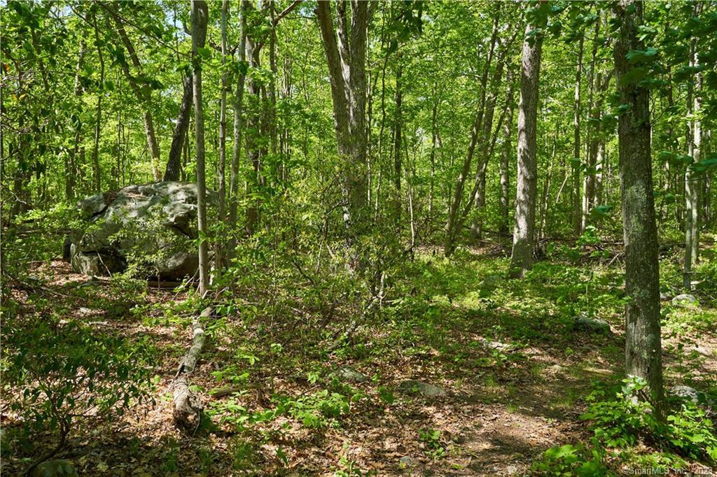 12 Bowhay Hill Road Branford CT 06405