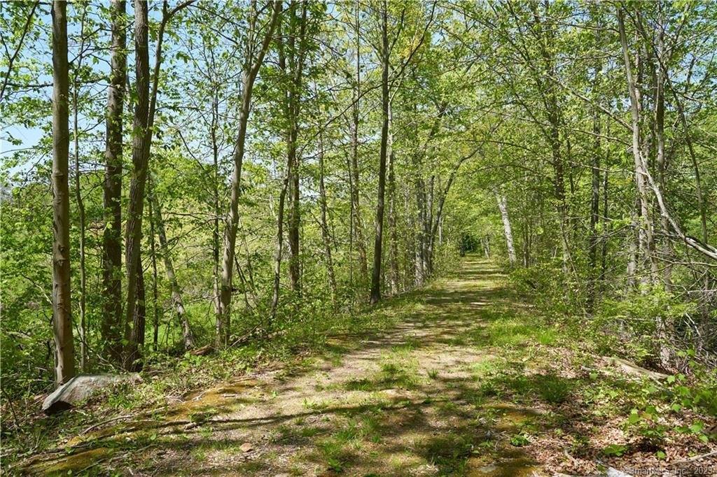 12 Bowhay Hill Road Branford CT 06405