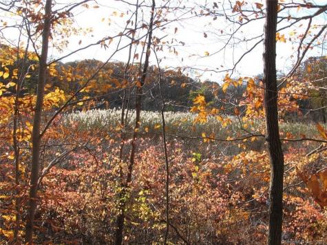12 Bowhay Hill Road Branford CT 06405