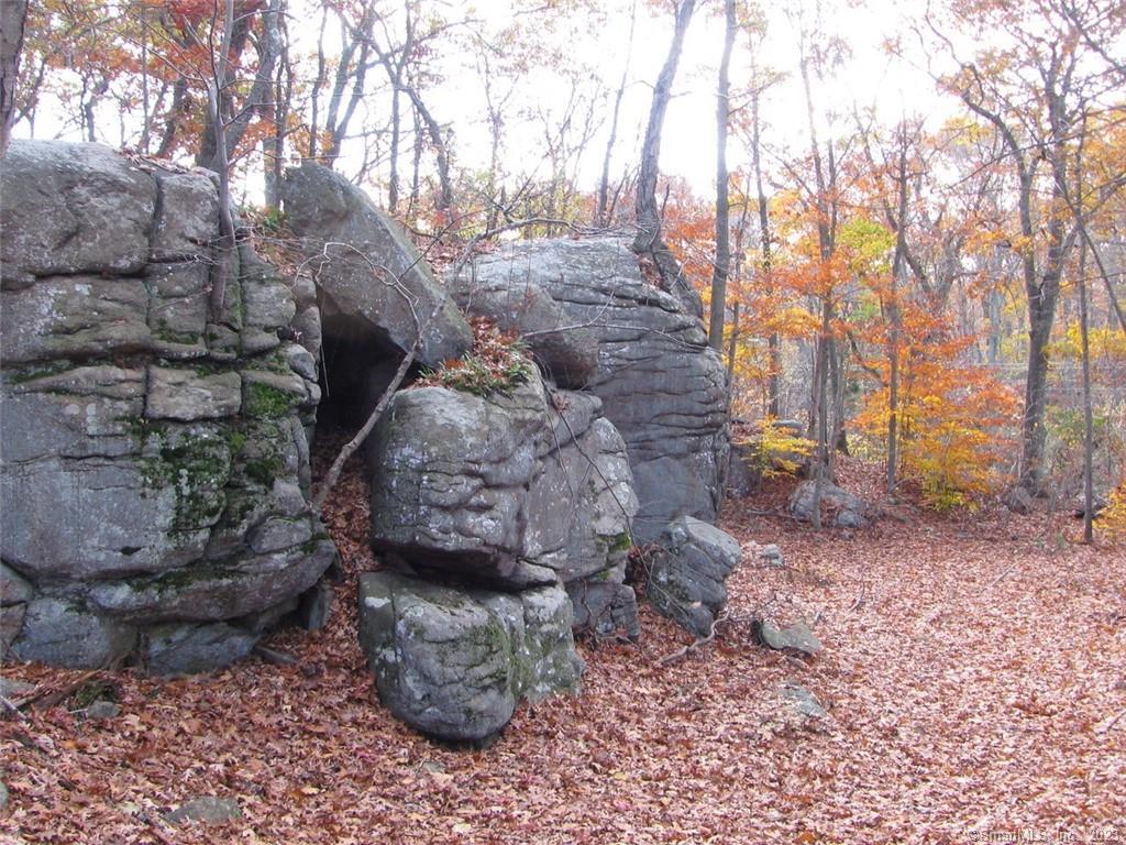 12 Bowhay Hill Road Branford CT 06405