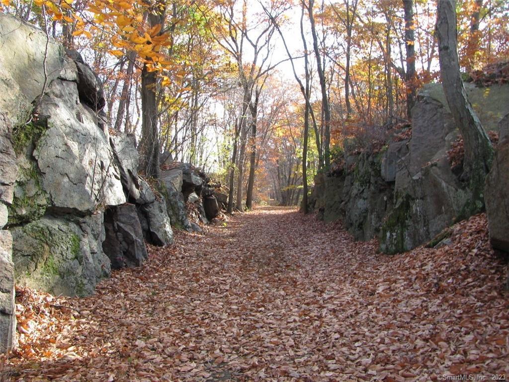 12 Bowhay Hill Road Branford CT 06405