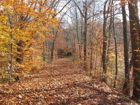 12 Bowhay Hill Road Branford CT 06405
