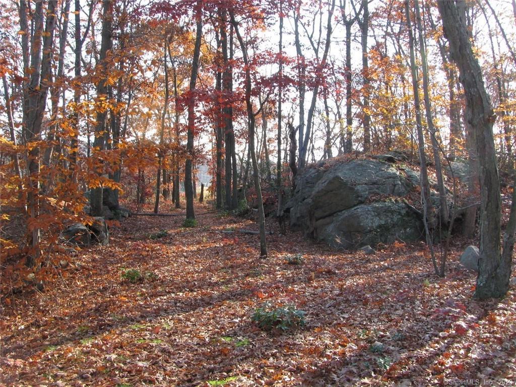 12 Bowhay Hill Road Branford CT 06405