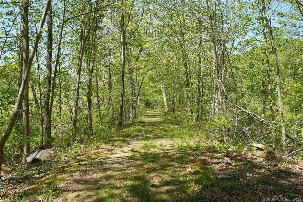 12 Bowhay Hill Road Branford CT 06405