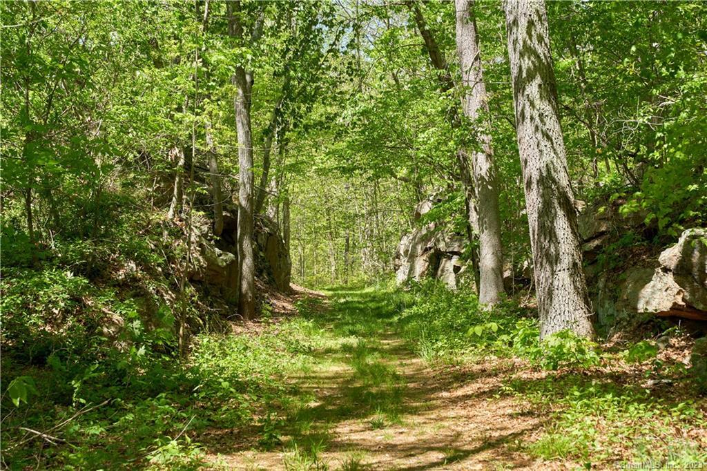 12 Bowhay Hill Road Branford CT 06405