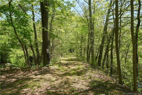 12 Bowhay Hill Road Branford CT 06405