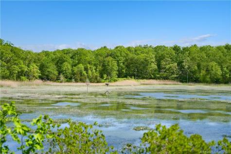 12 Bowhay Hill Road Branford CT 06405