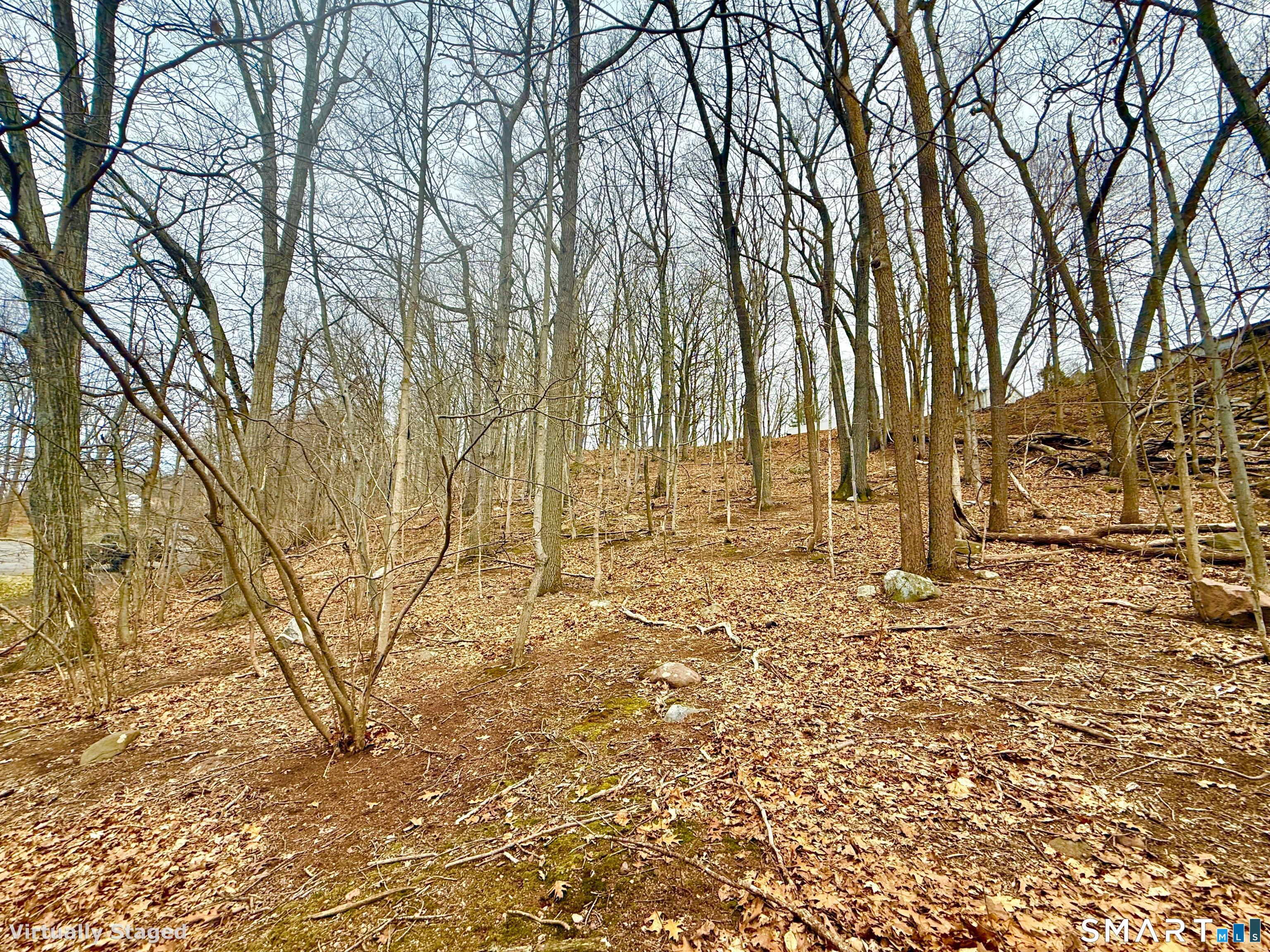 71 Dunbar Hill Road Hamden CT 06514