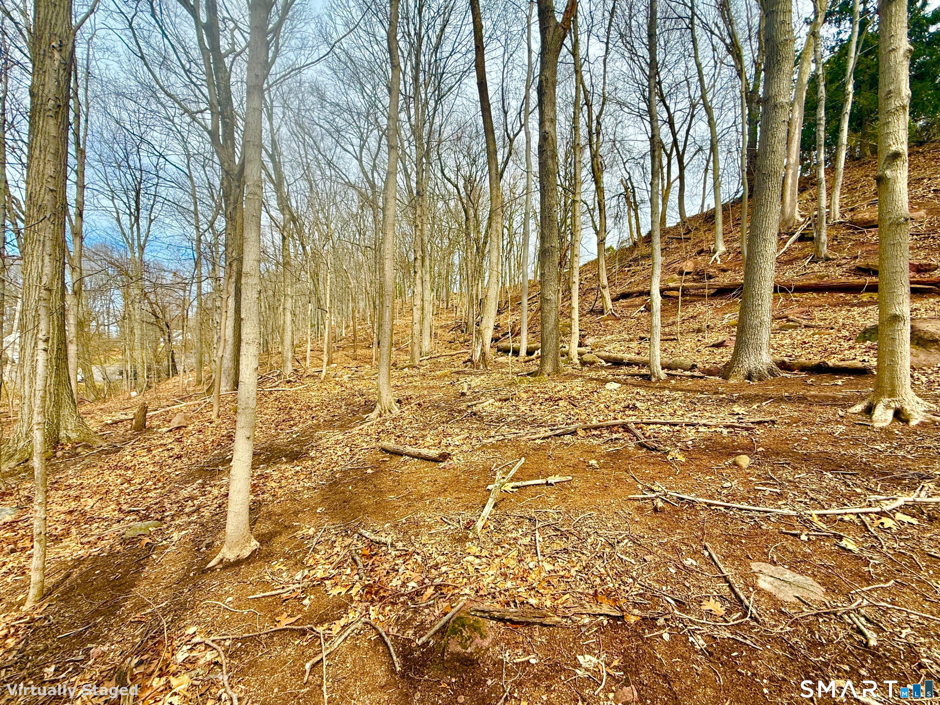 71 Dunbar Hill Road Hamden CT 06514