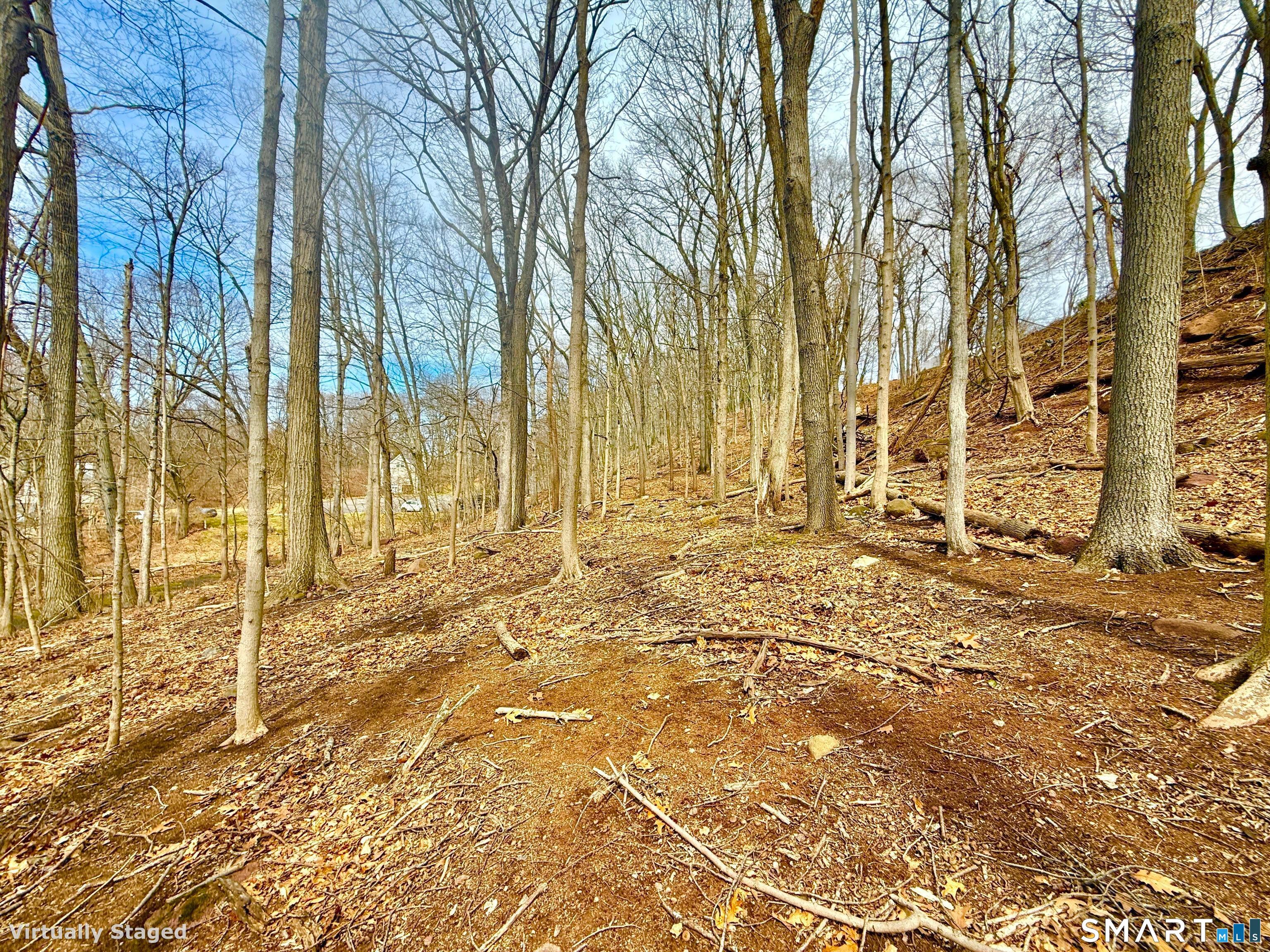 71 Dunbar Hill Road Hamden CT 06514