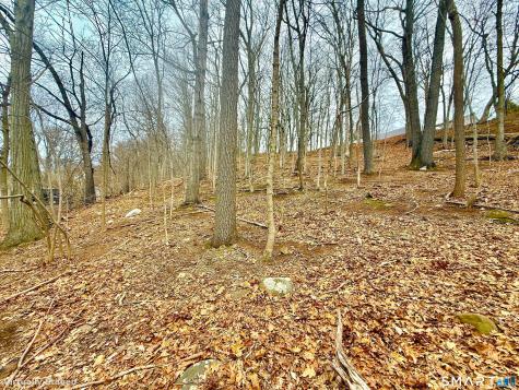 71 Dunbar Hill Road Hamden CT 06514