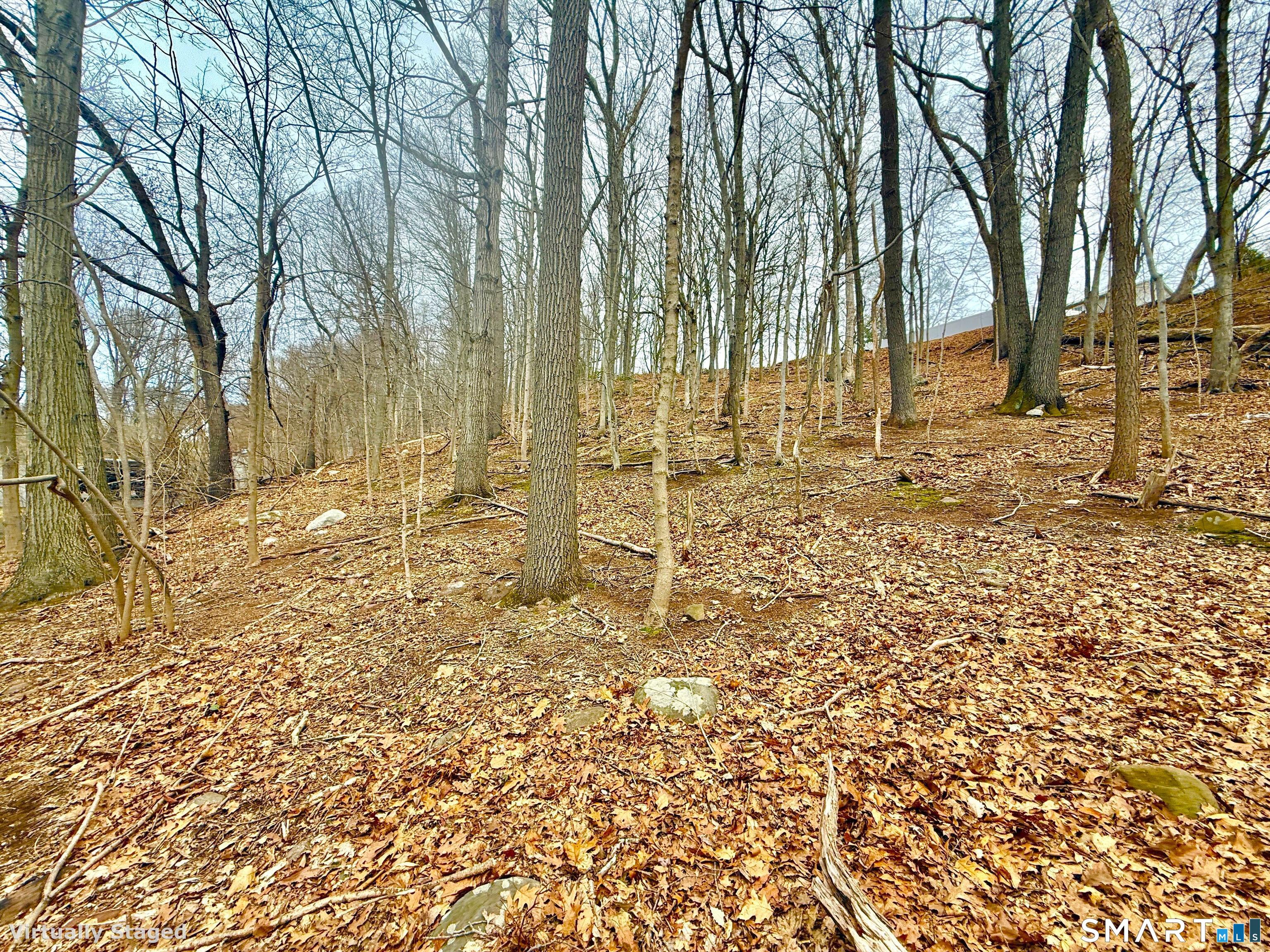 71 Dunbar Hill Road Hamden CT 06514