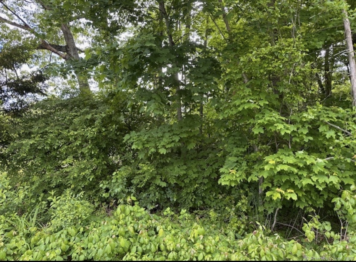 230 Vergason Avenue Norwich CT 06360