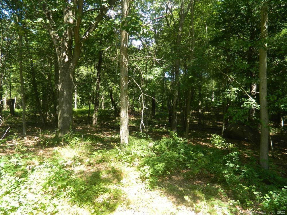 184 Shore Road Old Lyme CT 06371