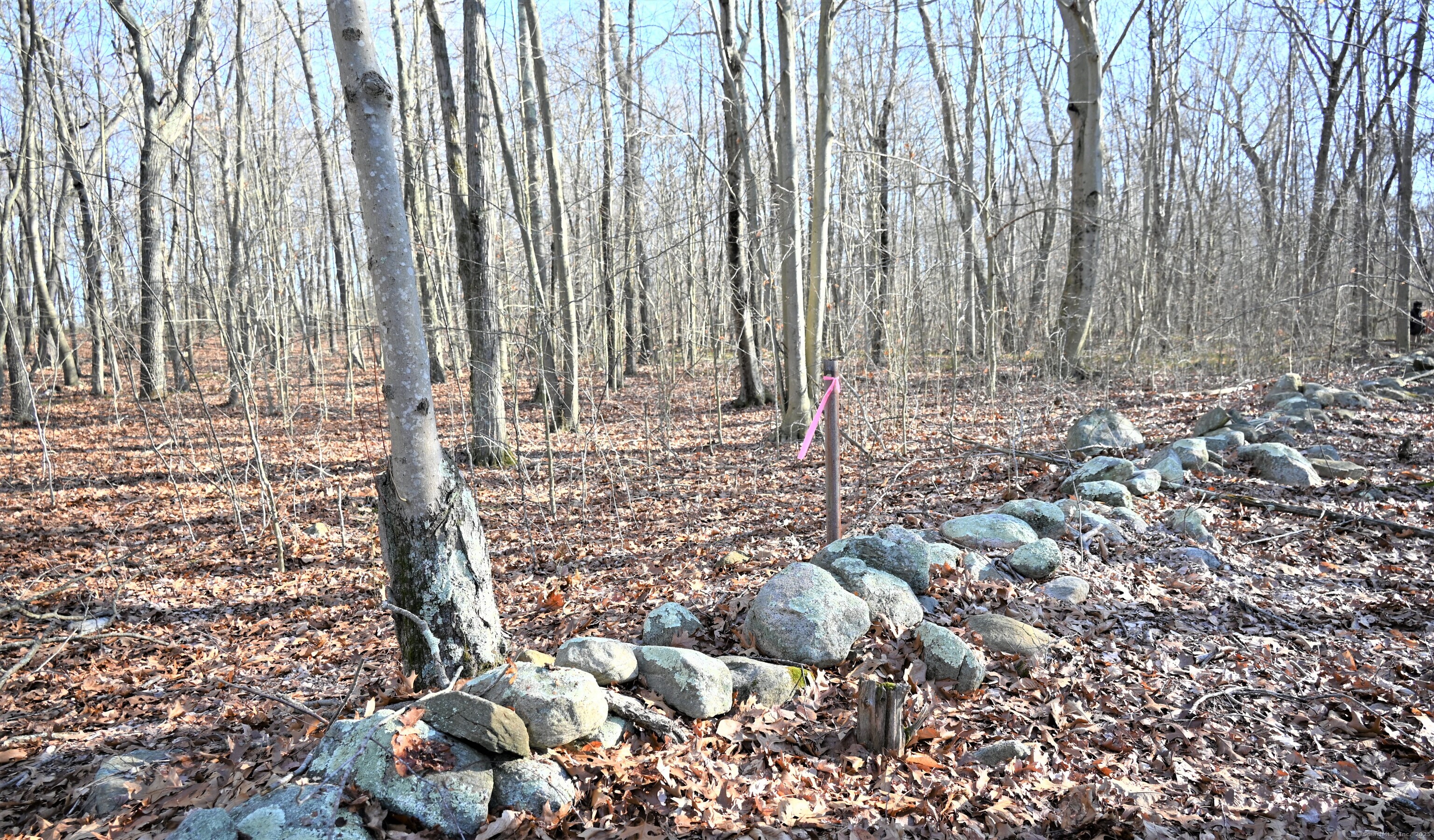 62-14,15,16 Middlesex Turnpike Old Saybrook CT 06475
