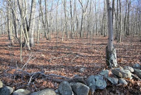 62-14,15,16 Middlesex Turnpike Old Saybrook CT 06475