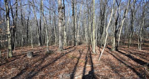 62-14,15,16 Middlesex Turnpike Old Saybrook CT 06475