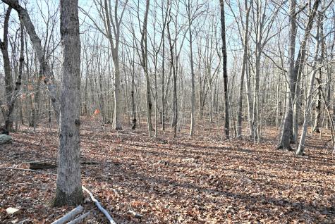 62-14,15,16 Middlesex Turnpike Old Saybrook CT 06475