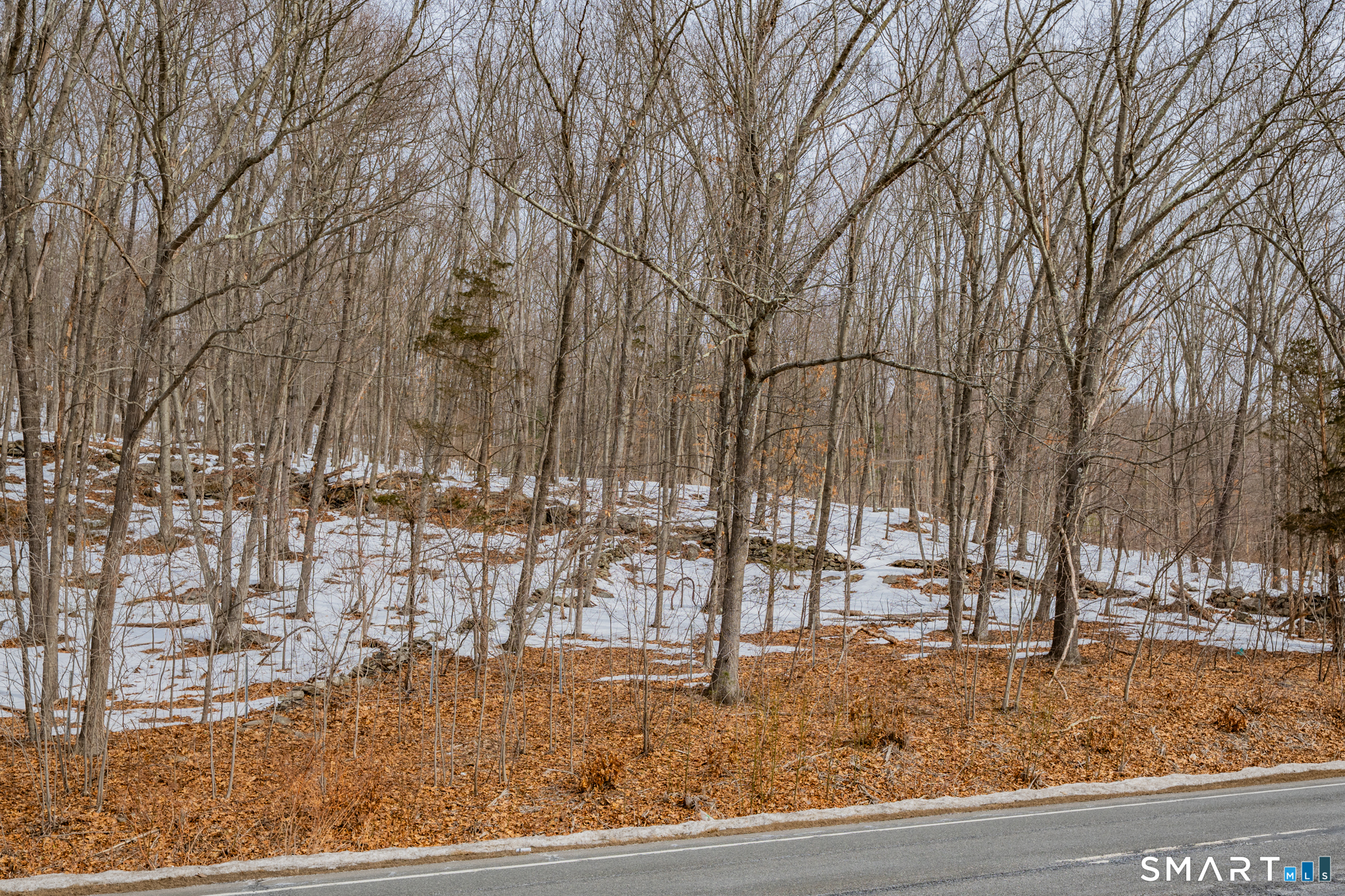 Frost Bridge Road Watertown CT 06795