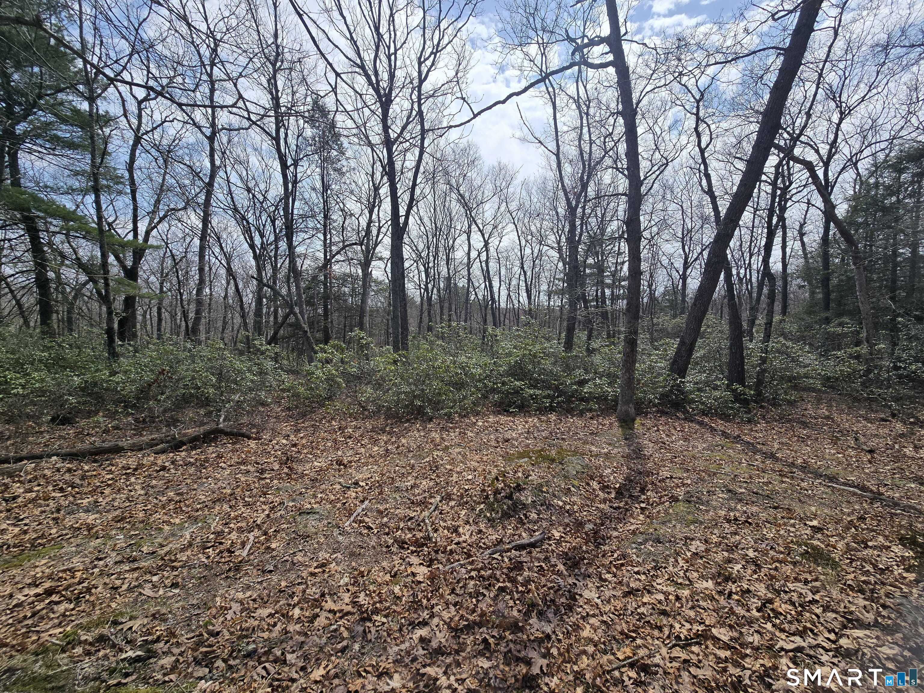Pleasure Hill Road Franklin CT 06254