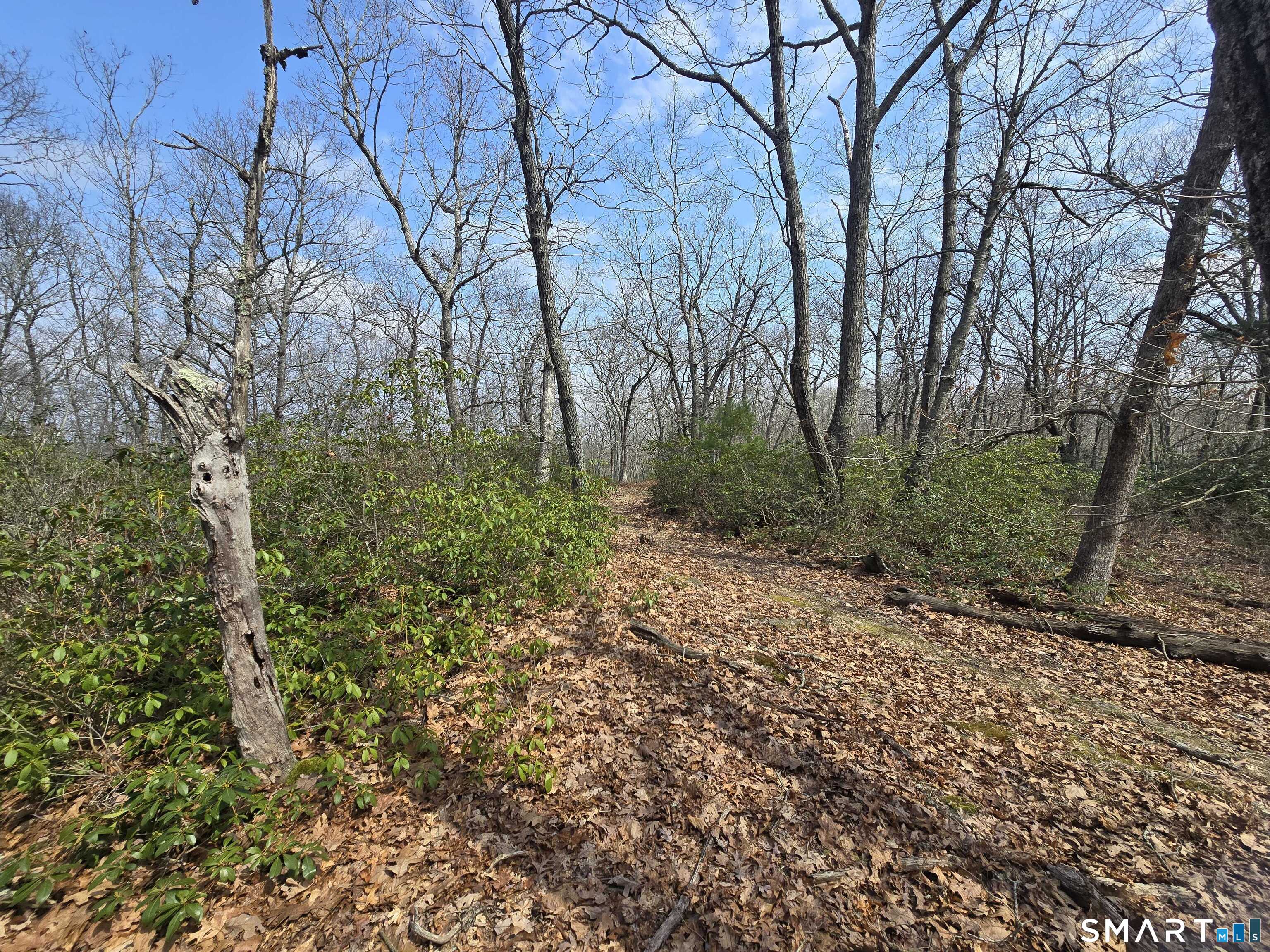 Pleasure Hill Road Franklin CT 06254