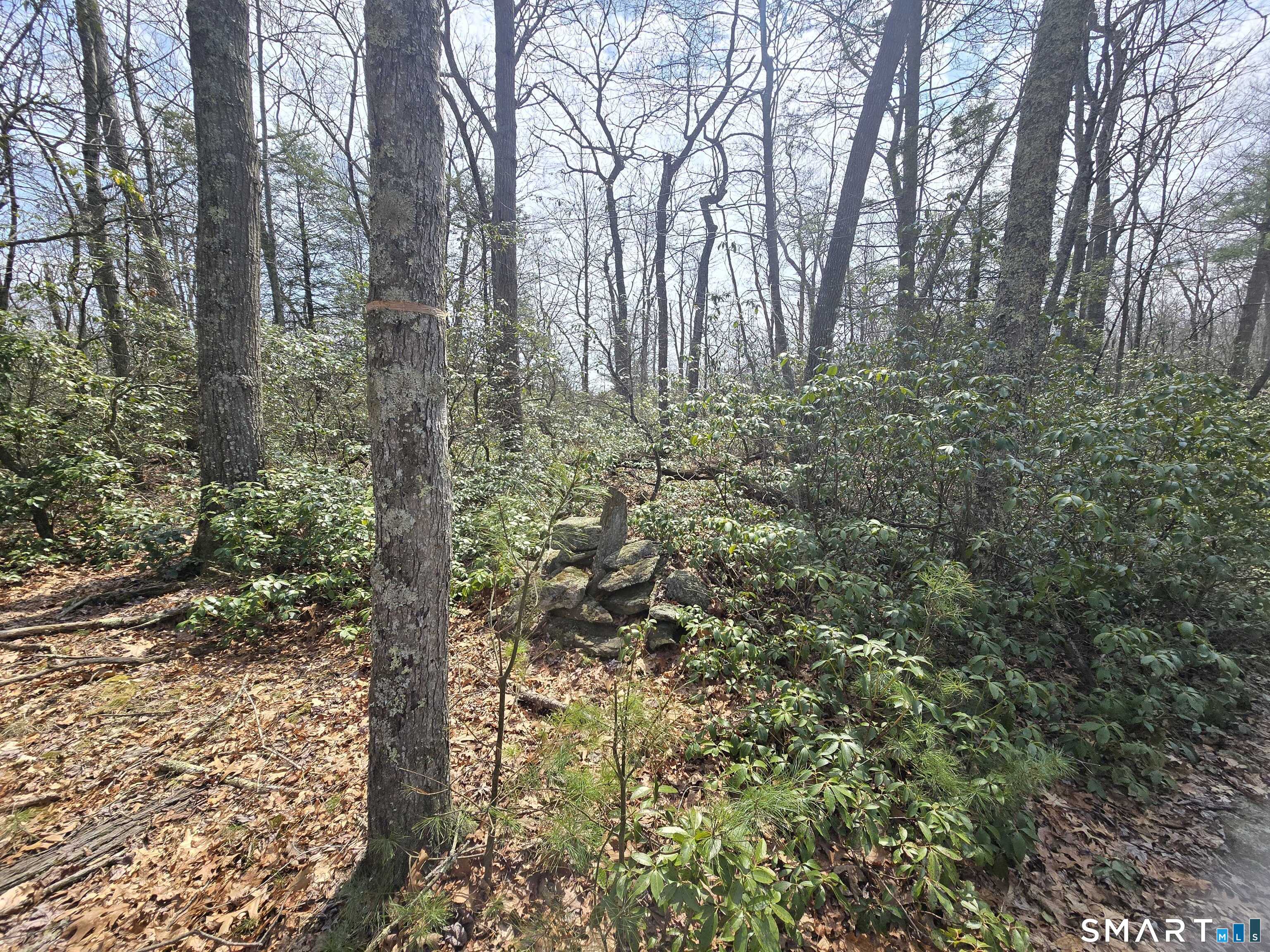 Pleasure Hill Road Franklin CT 06254