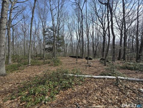 Pleasure Hill Road Franklin CT 06254