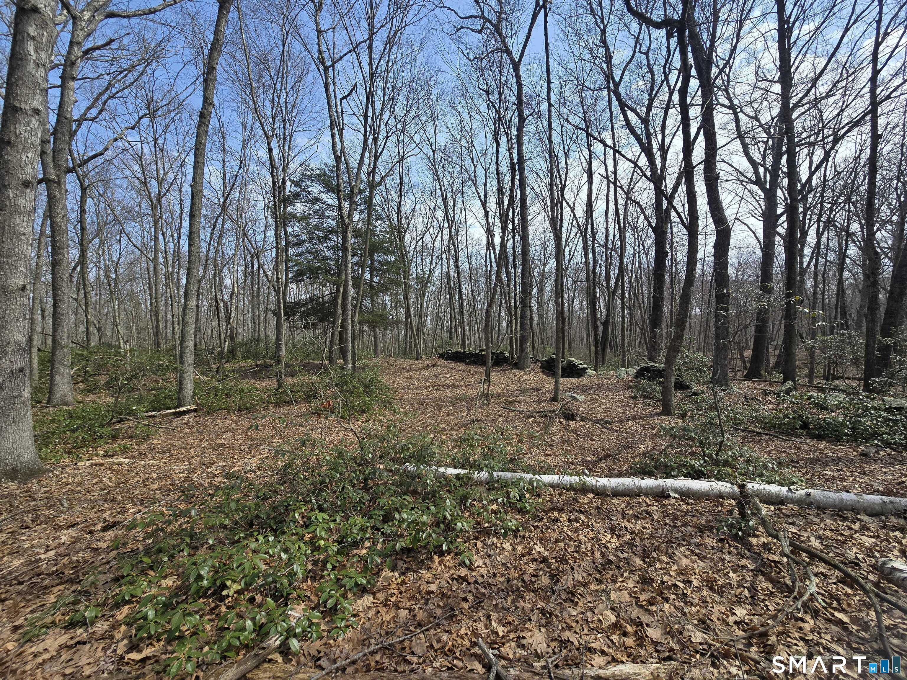 Pleasure Hill Road Franklin CT 06254