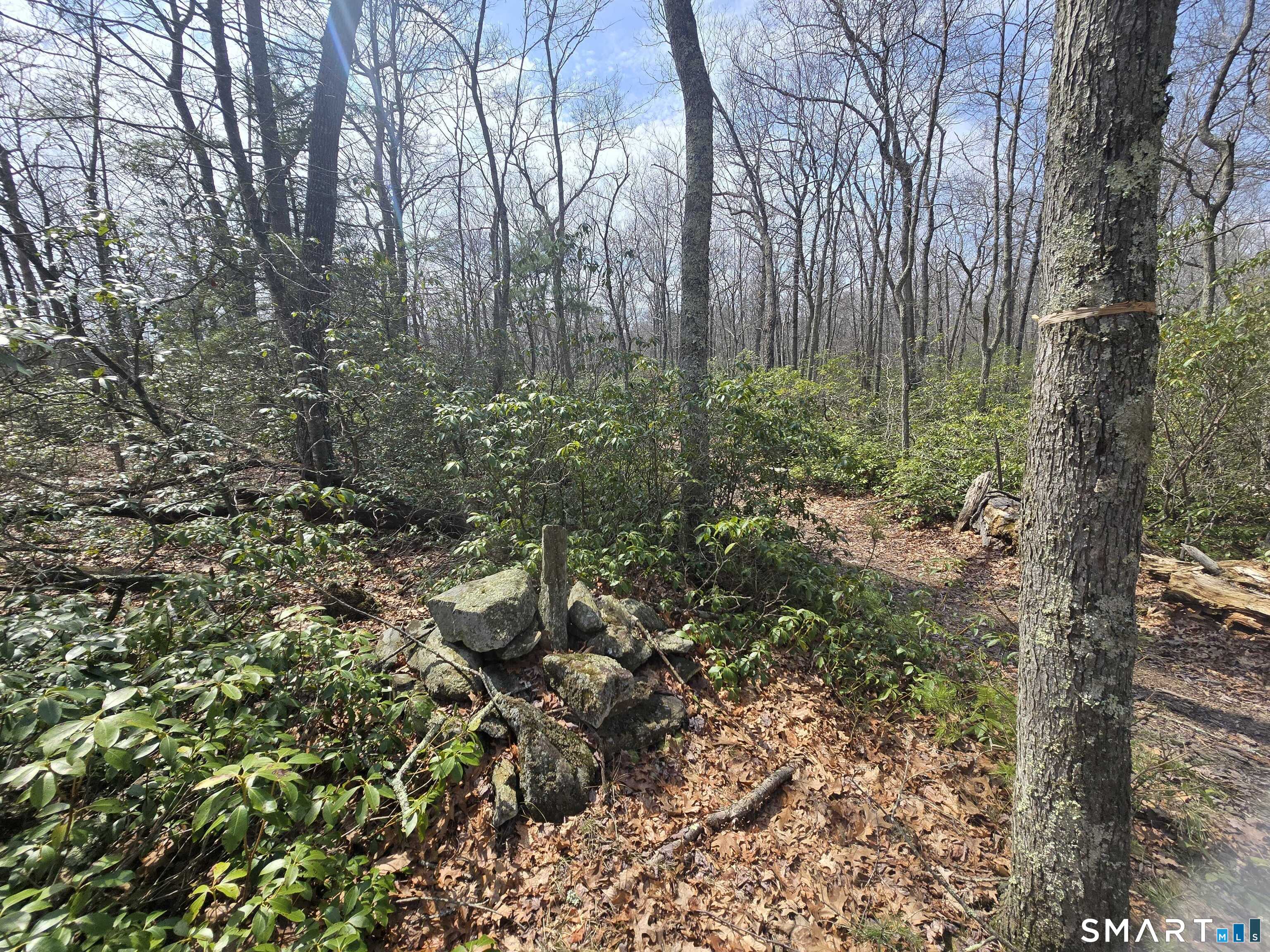 Pleasure Hill Road Franklin CT 06254