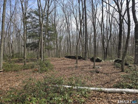 Pleasure Hill Road Franklin CT 06254