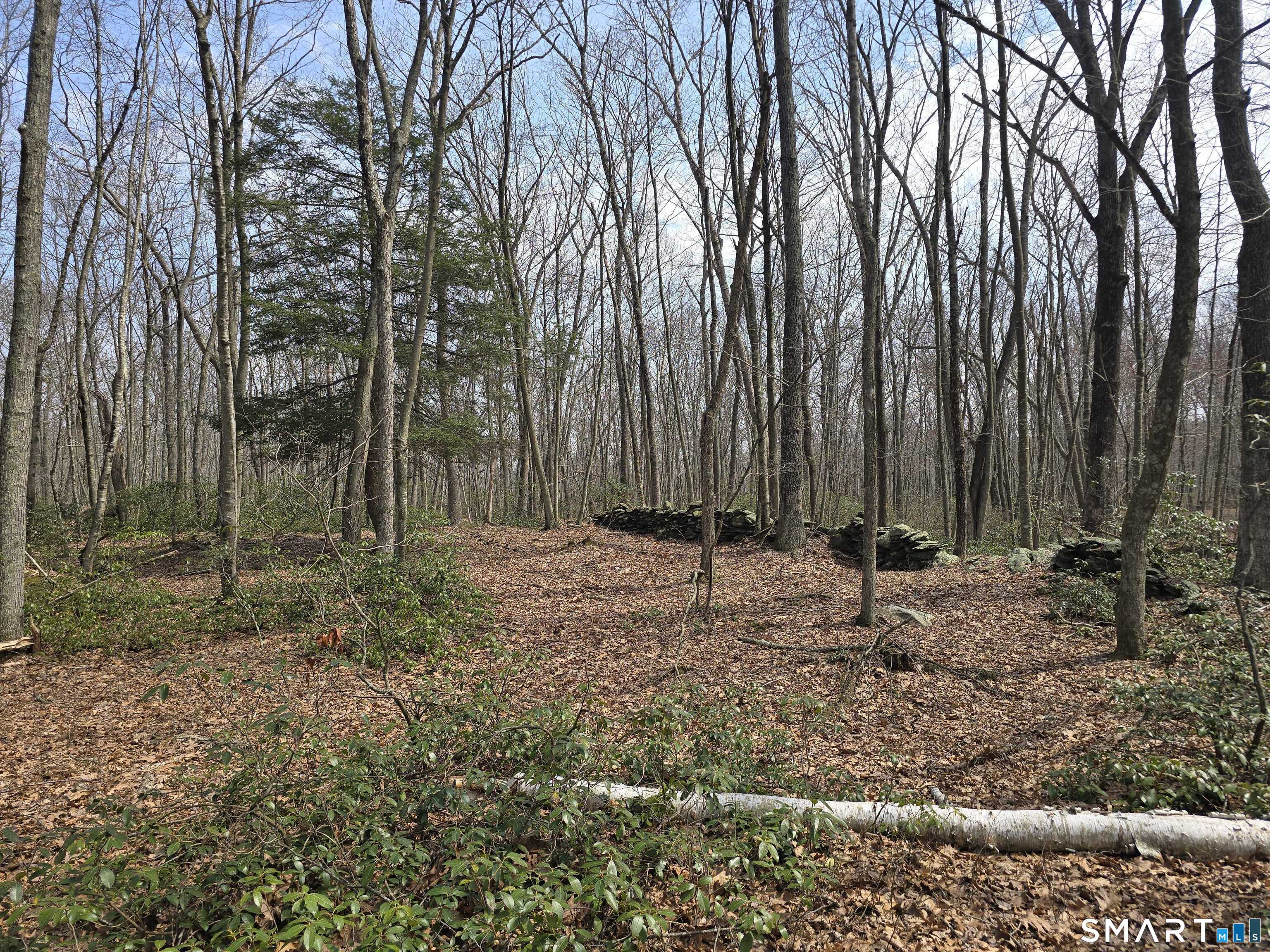 Pleasure Hill Road Franklin CT 06254