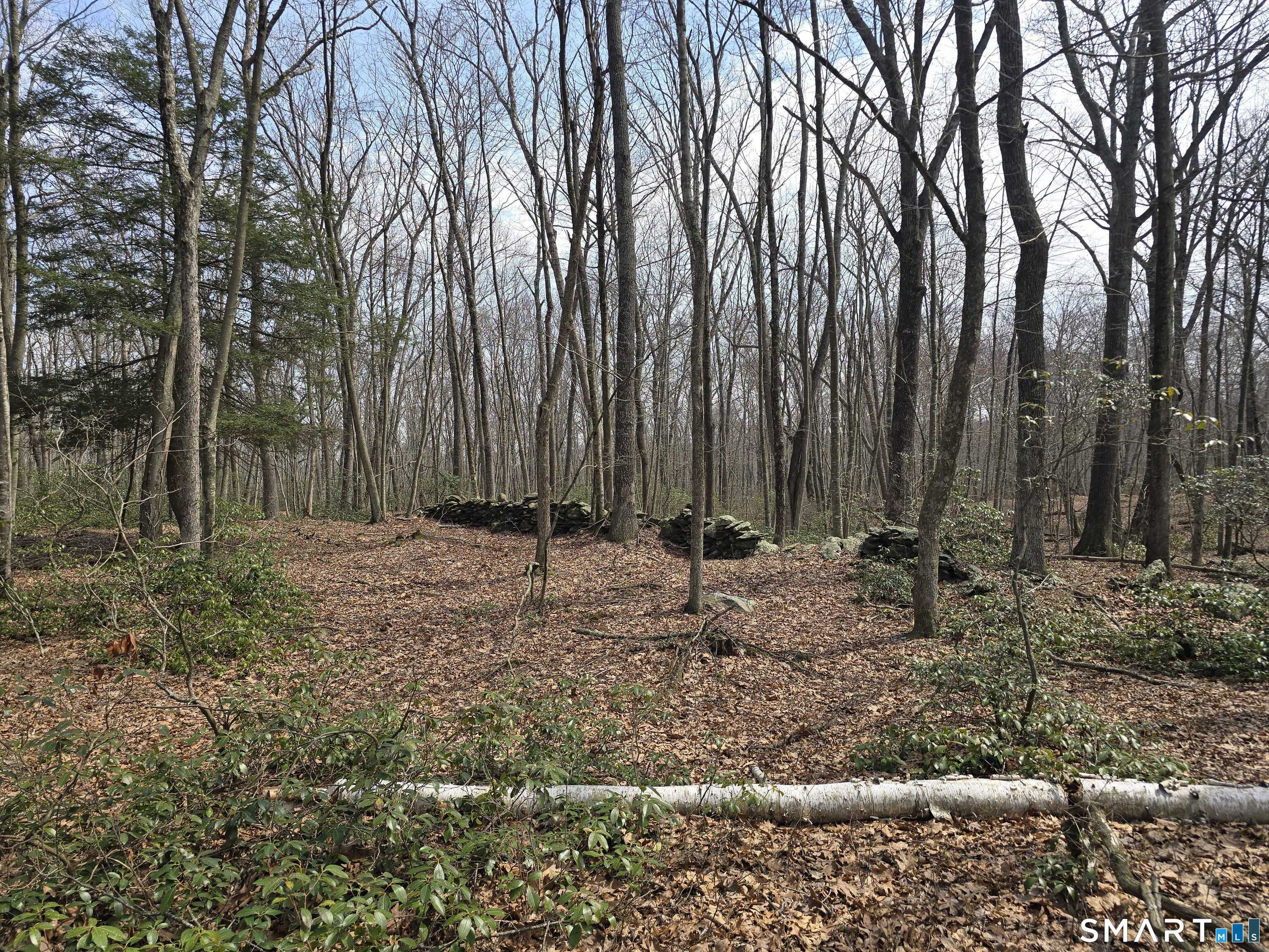 Pleasure Hill Road Franklin CT 06254