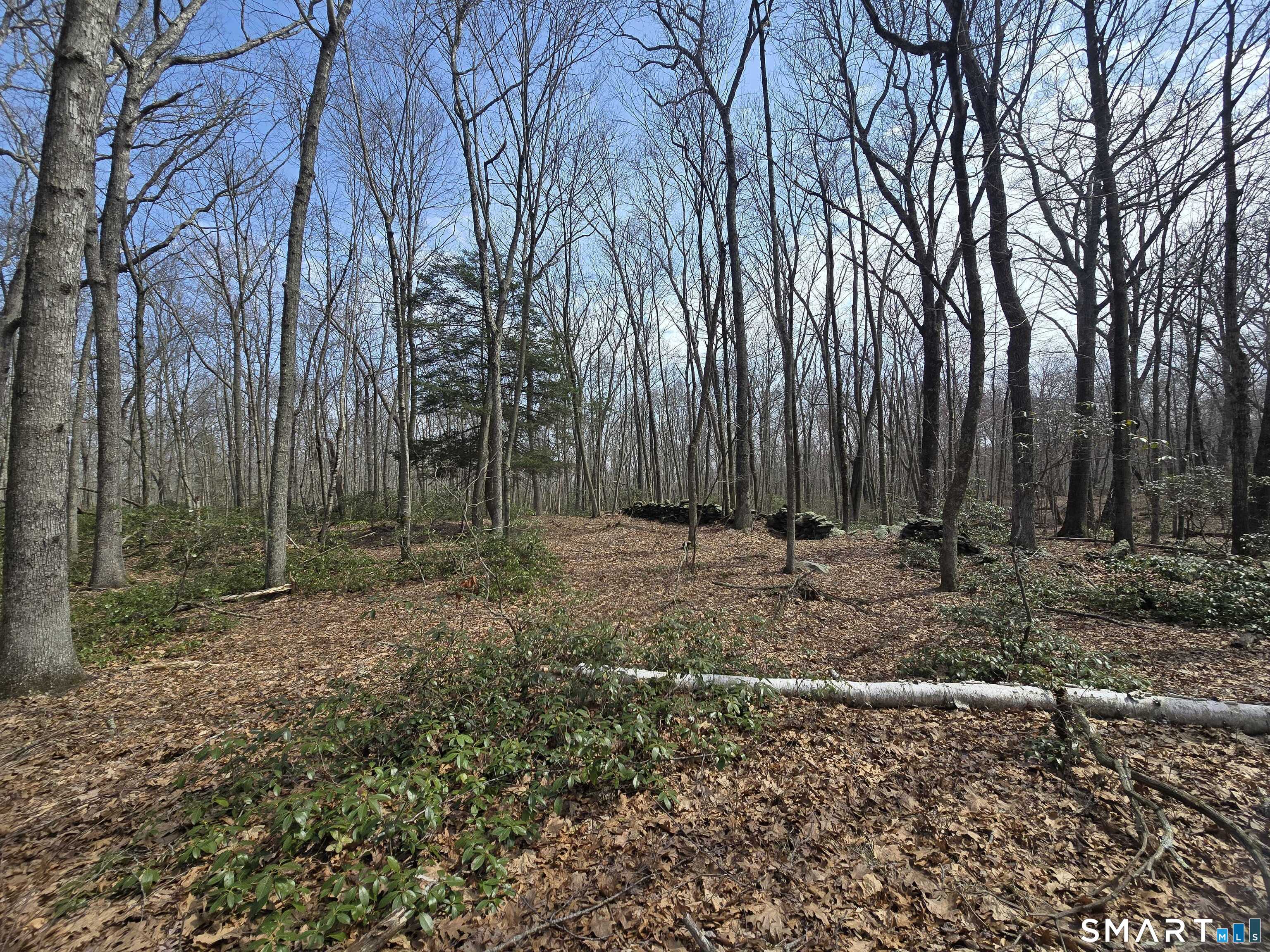Pleasure Hill Road Franklin CT 06254