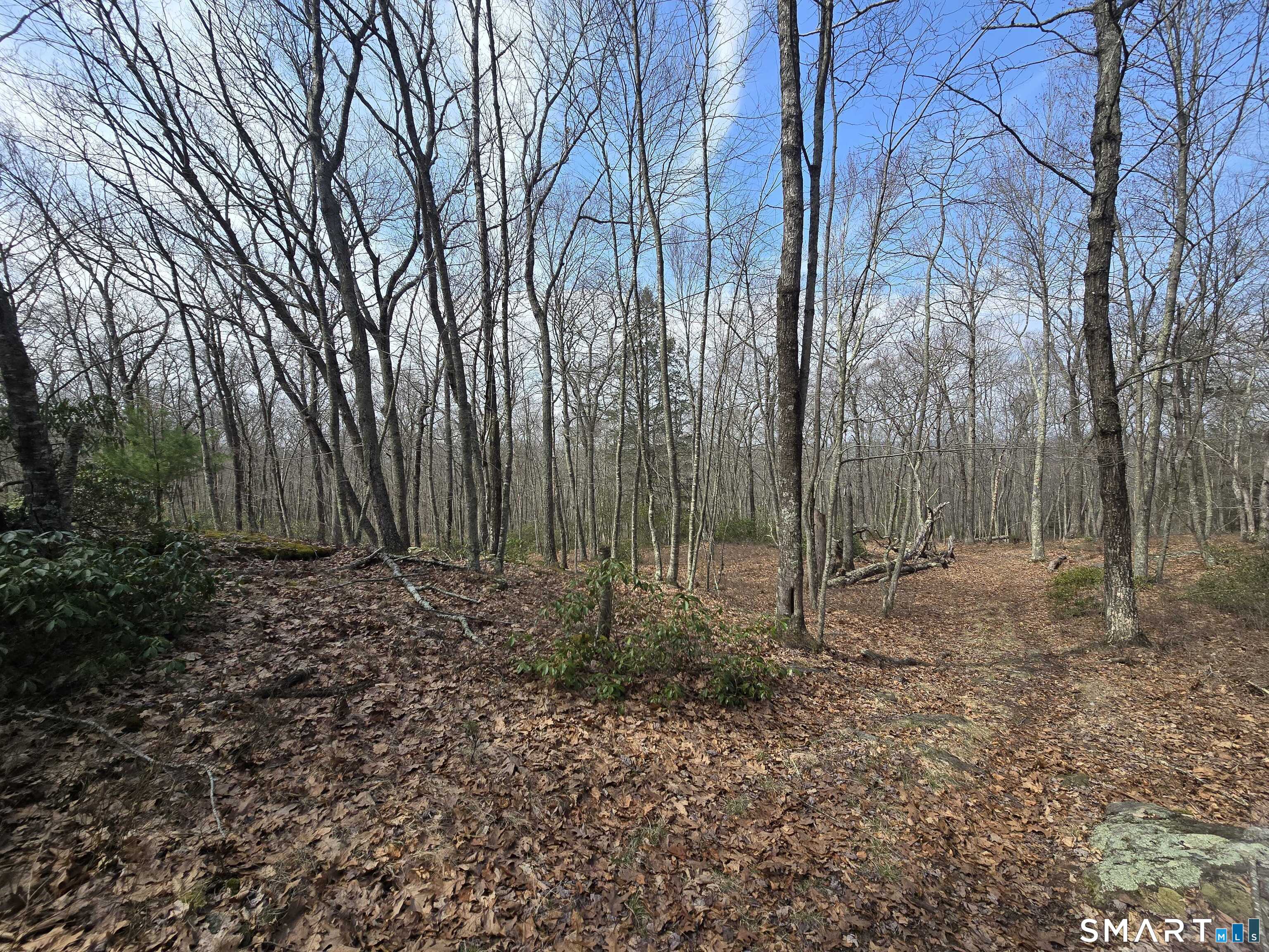 Pleasure Hill Road Franklin CT 06254