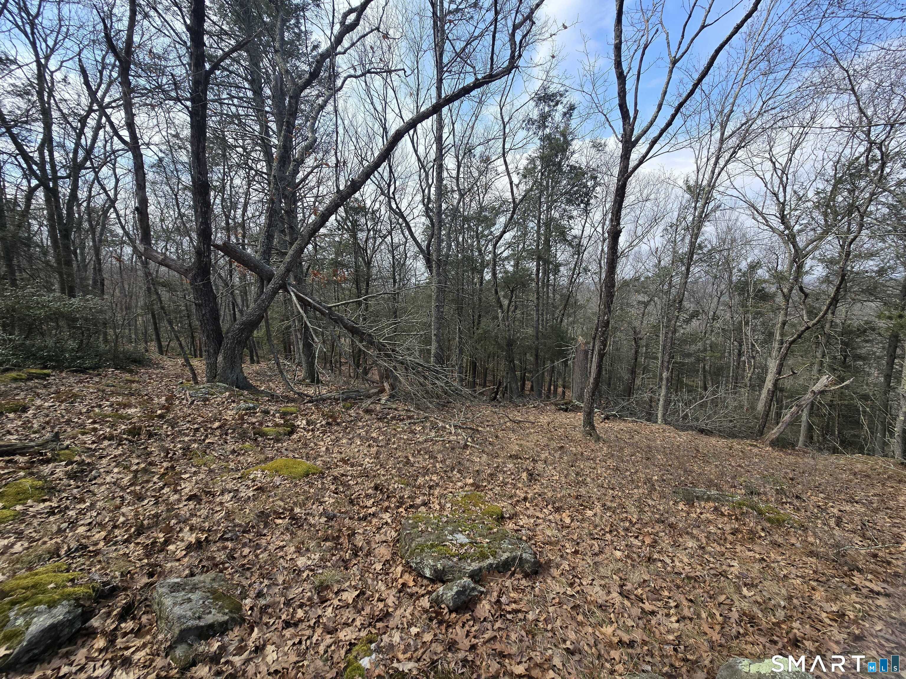 Pleasure Hill Road Franklin CT 06254