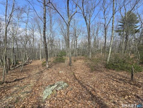 Pleasure Hill Road Franklin CT 06254