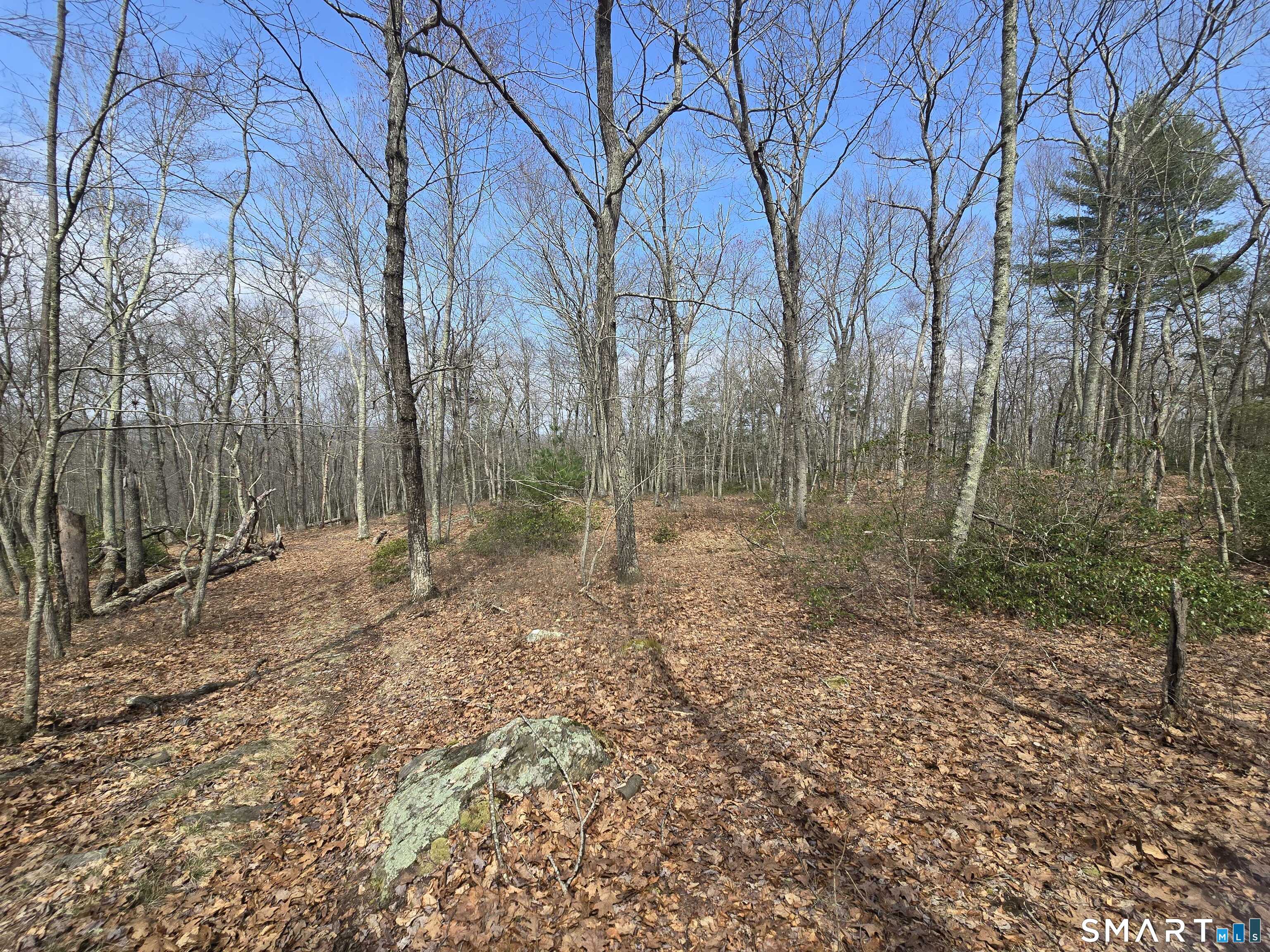 Pleasure Hill Road Franklin CT 06254