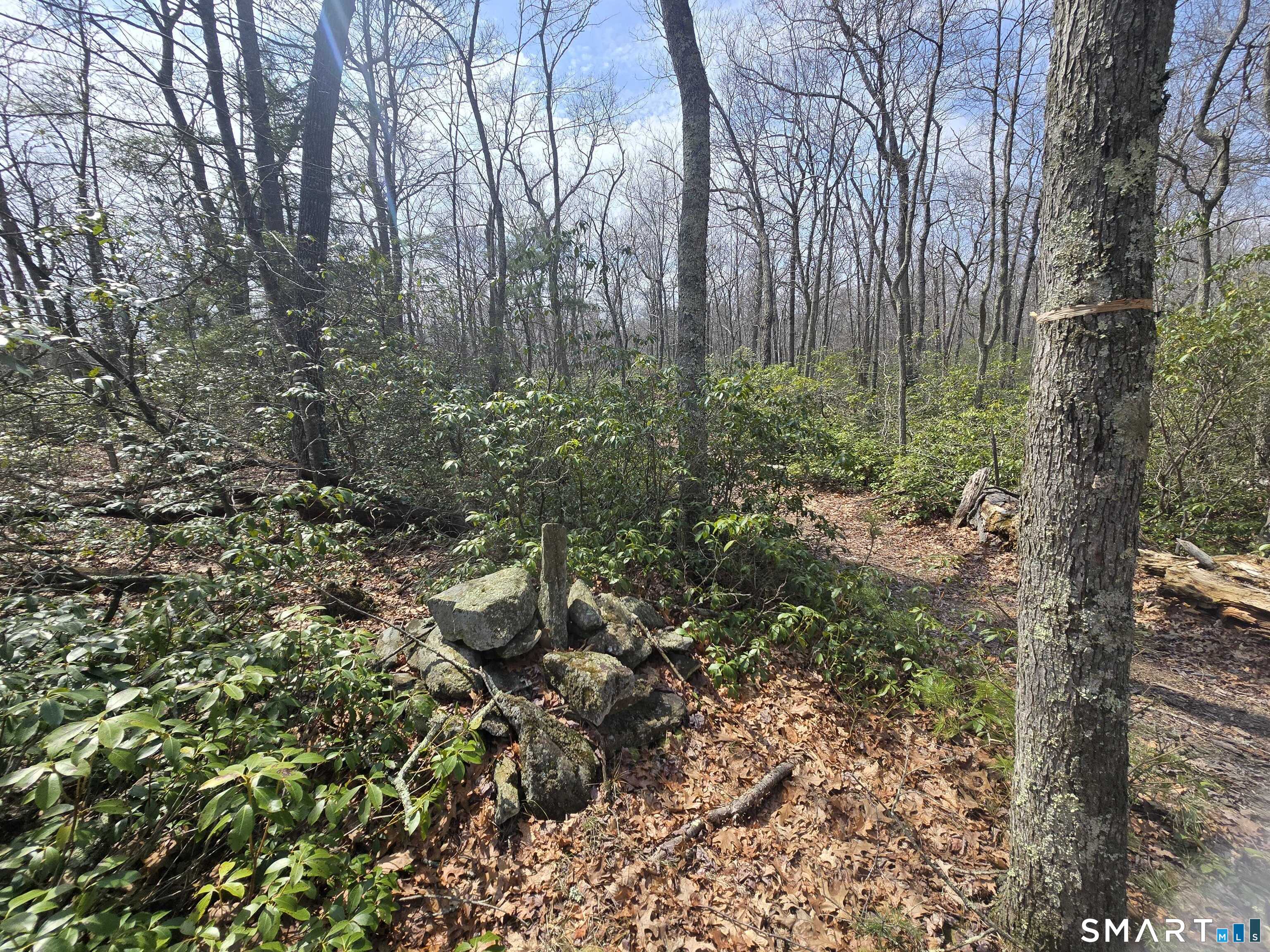 Pleasure Hill Road Franklin CT 06254