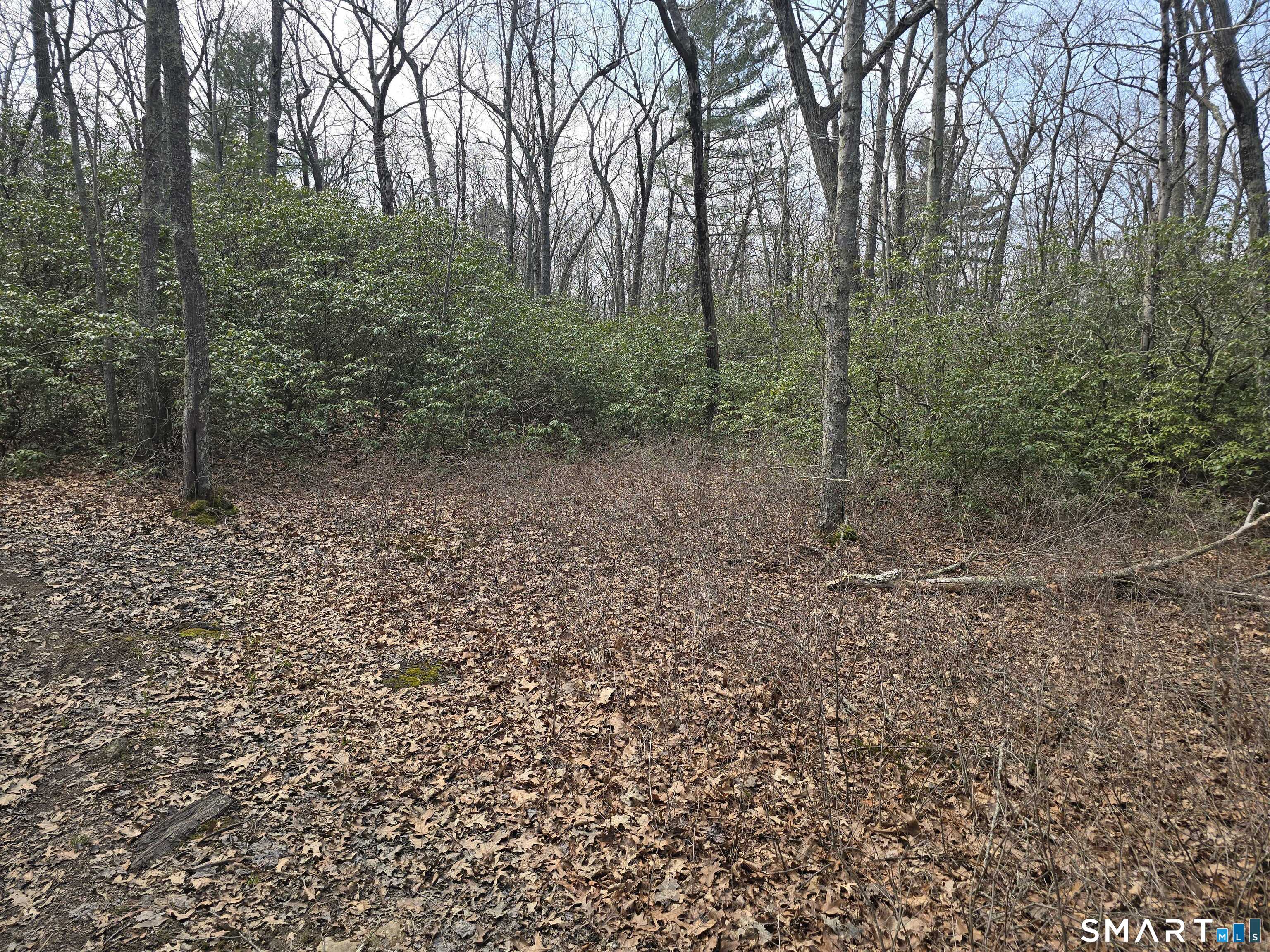 Pleasure Hill Road Franklin CT 06254