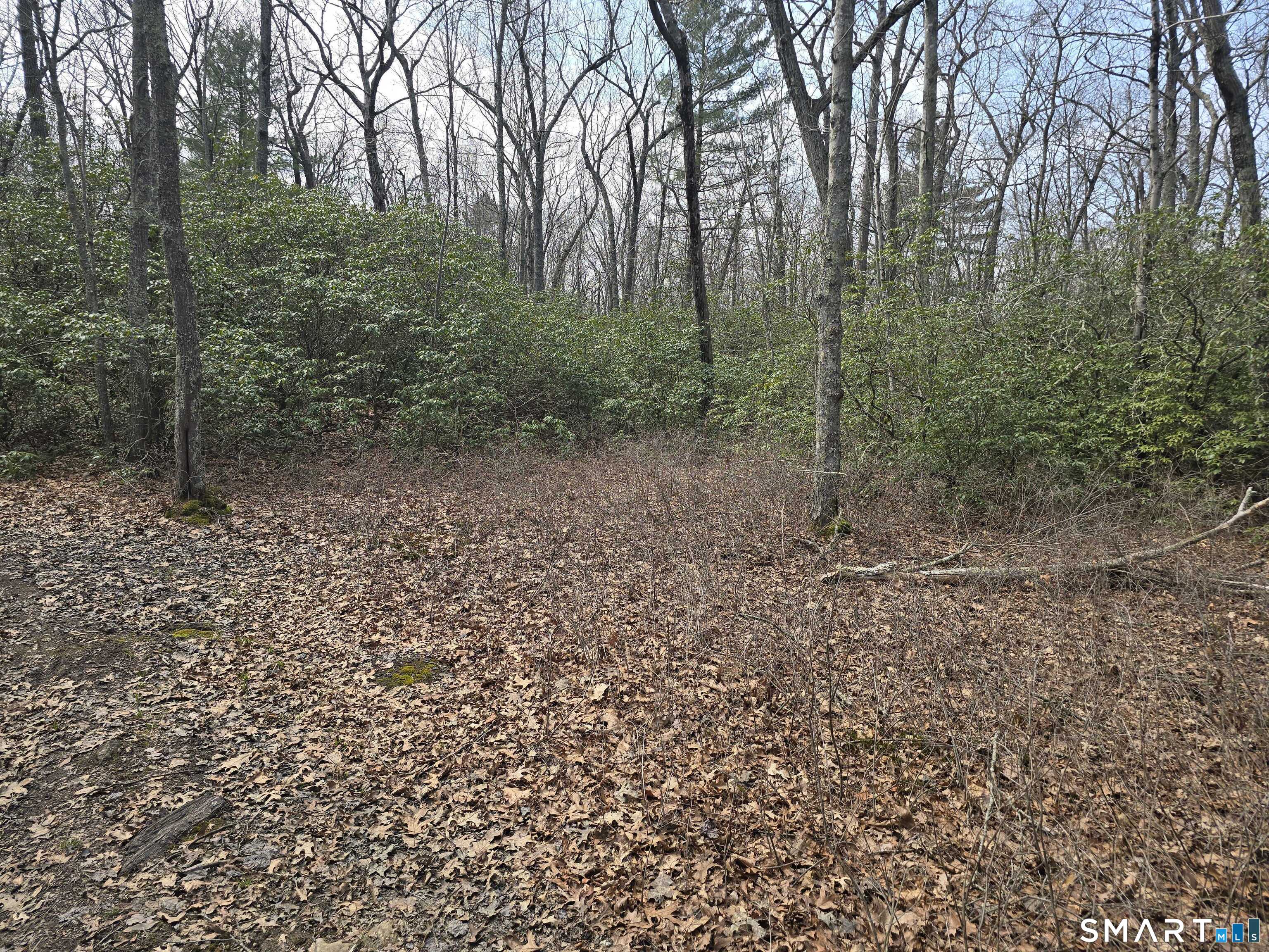 Pleasure Hill Road Franklin CT 06254