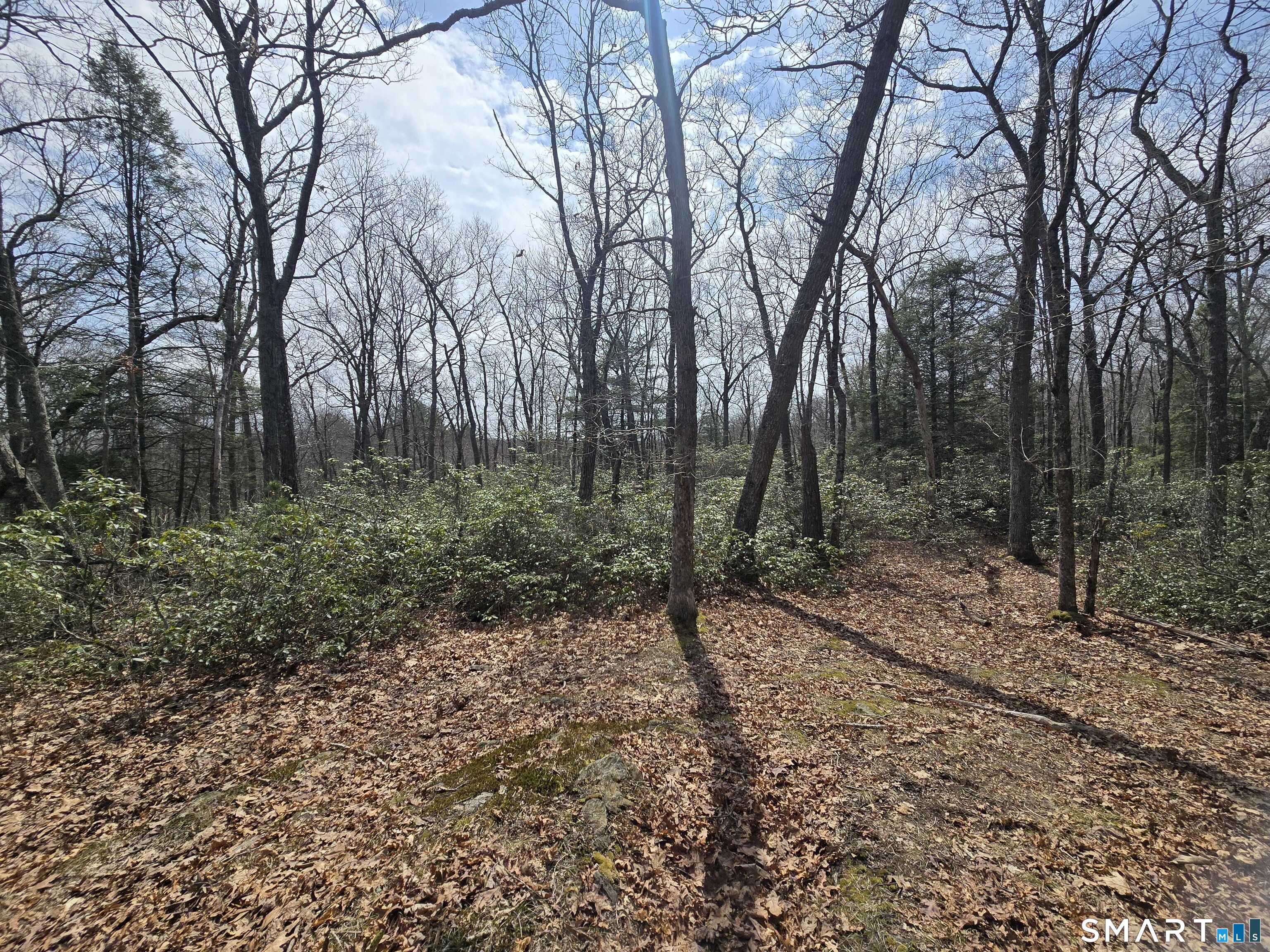 Pleasure Hill Road Franklin CT 06254