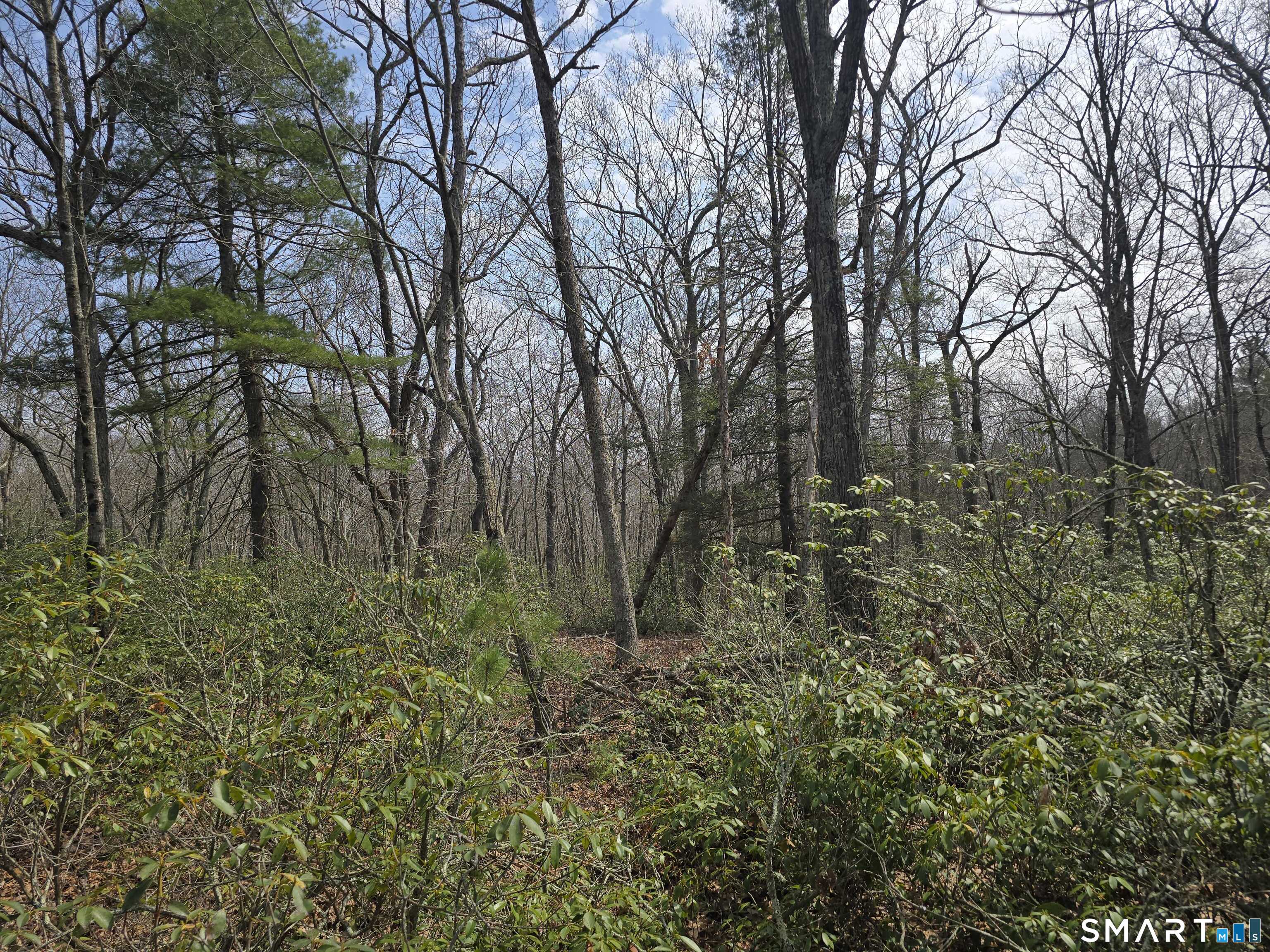 Pleasure Hill Road Franklin CT 06254
