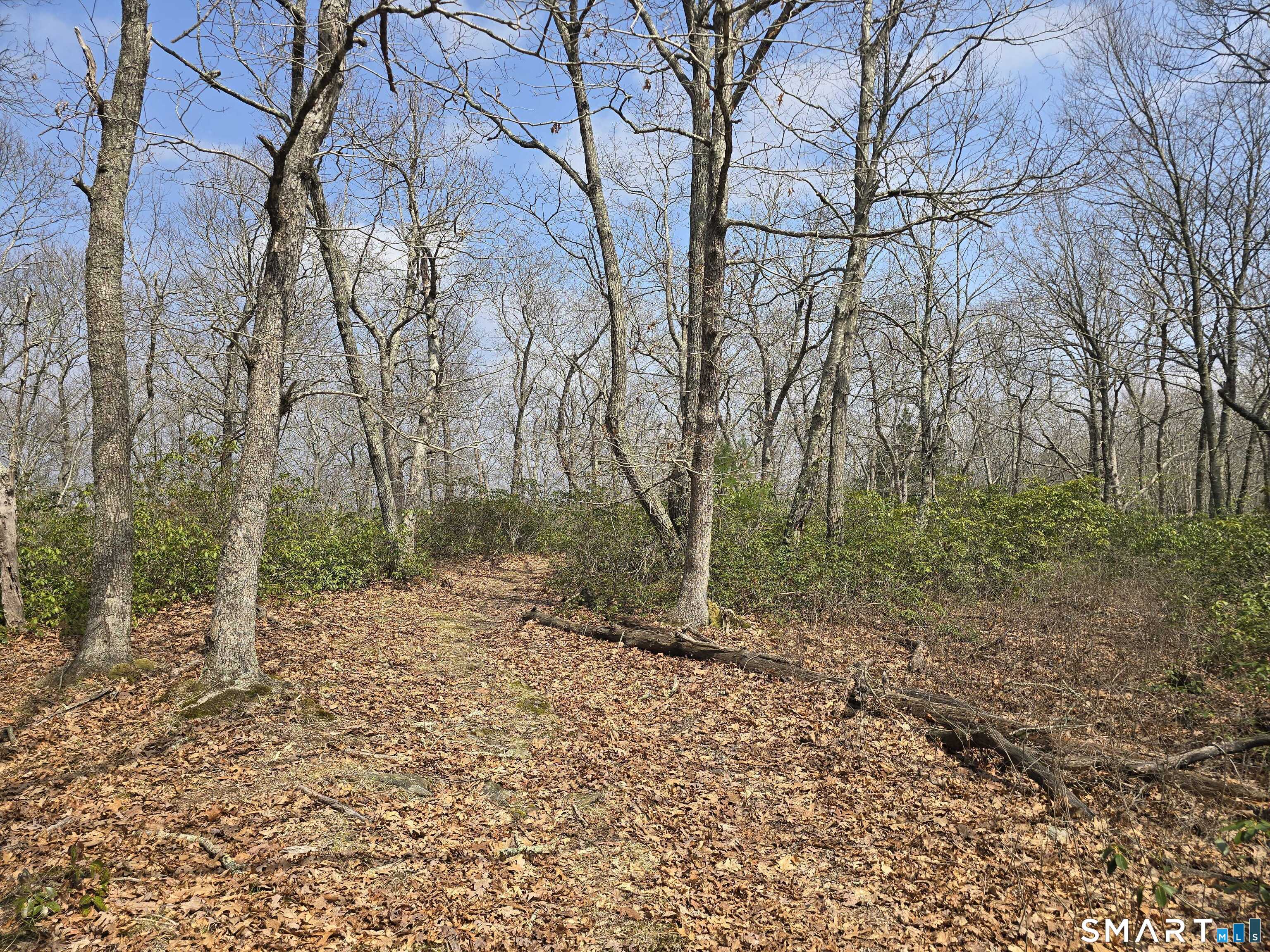 Pleasure Hill Road Franklin CT 06254