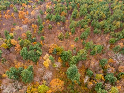 Cook Hill Road Killingly CT 06239