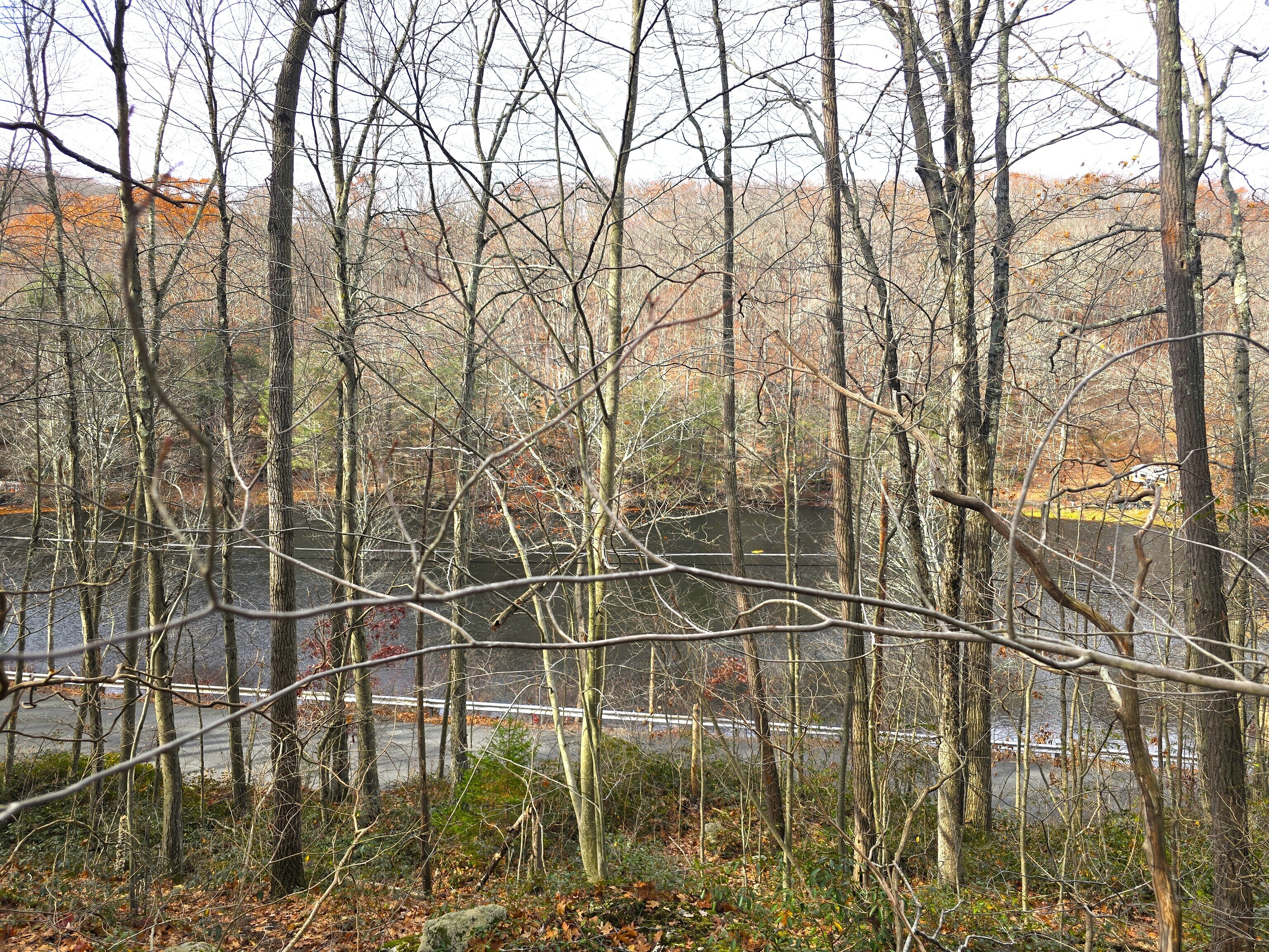 123-133 Todd Hollow Road Plymouth CT 06782