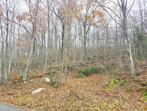 123-133 Todd Hollow Road Plymouth CT 06782