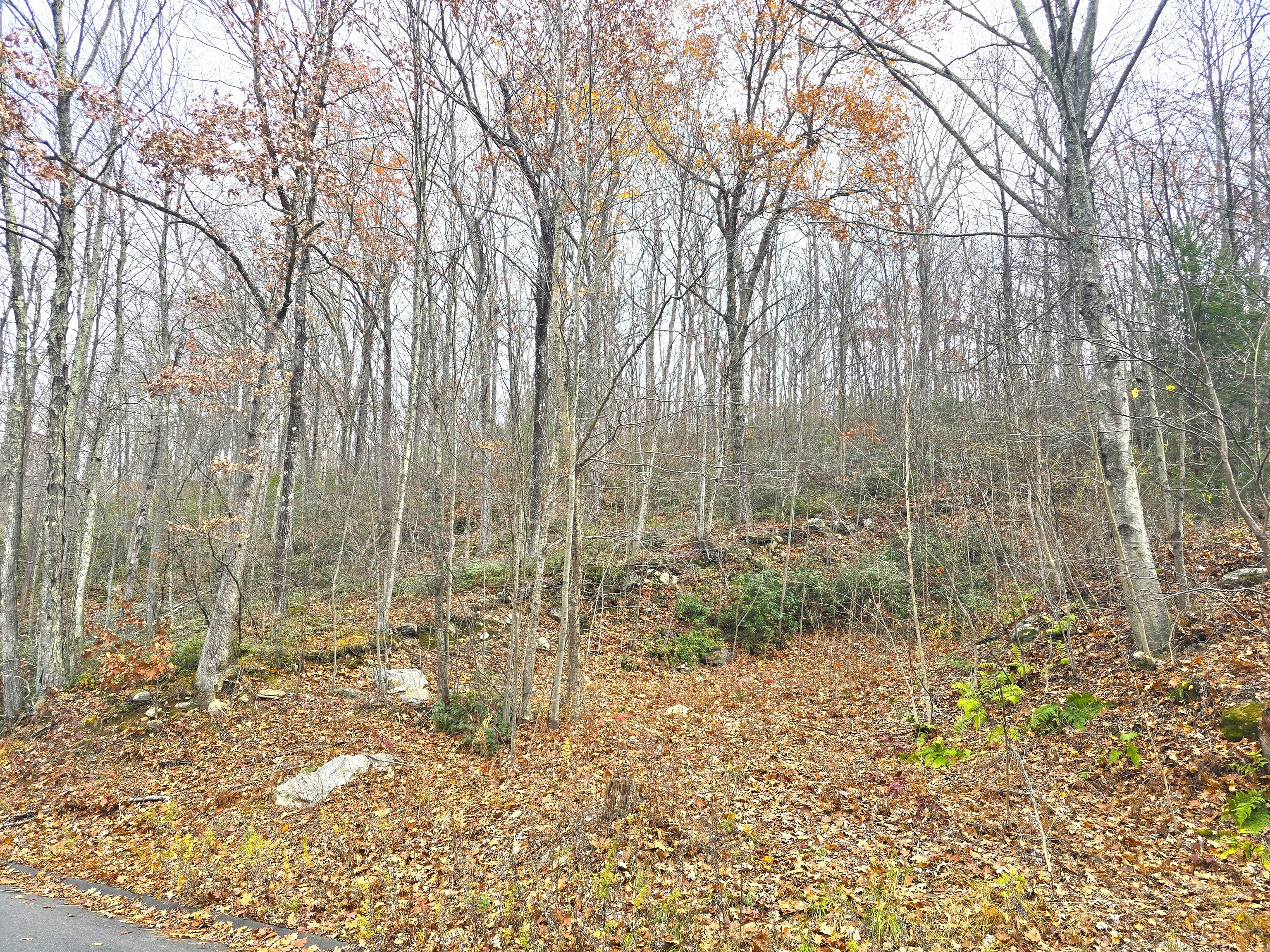 123-133 Todd Hollow Road Plymouth CT 06782