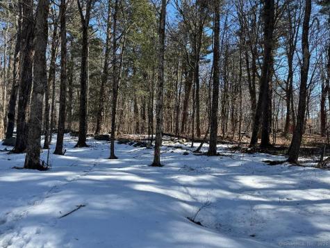 Warren CT 06754